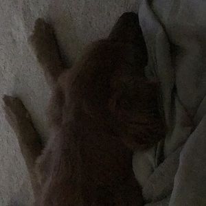 Meet your Posher, Mike